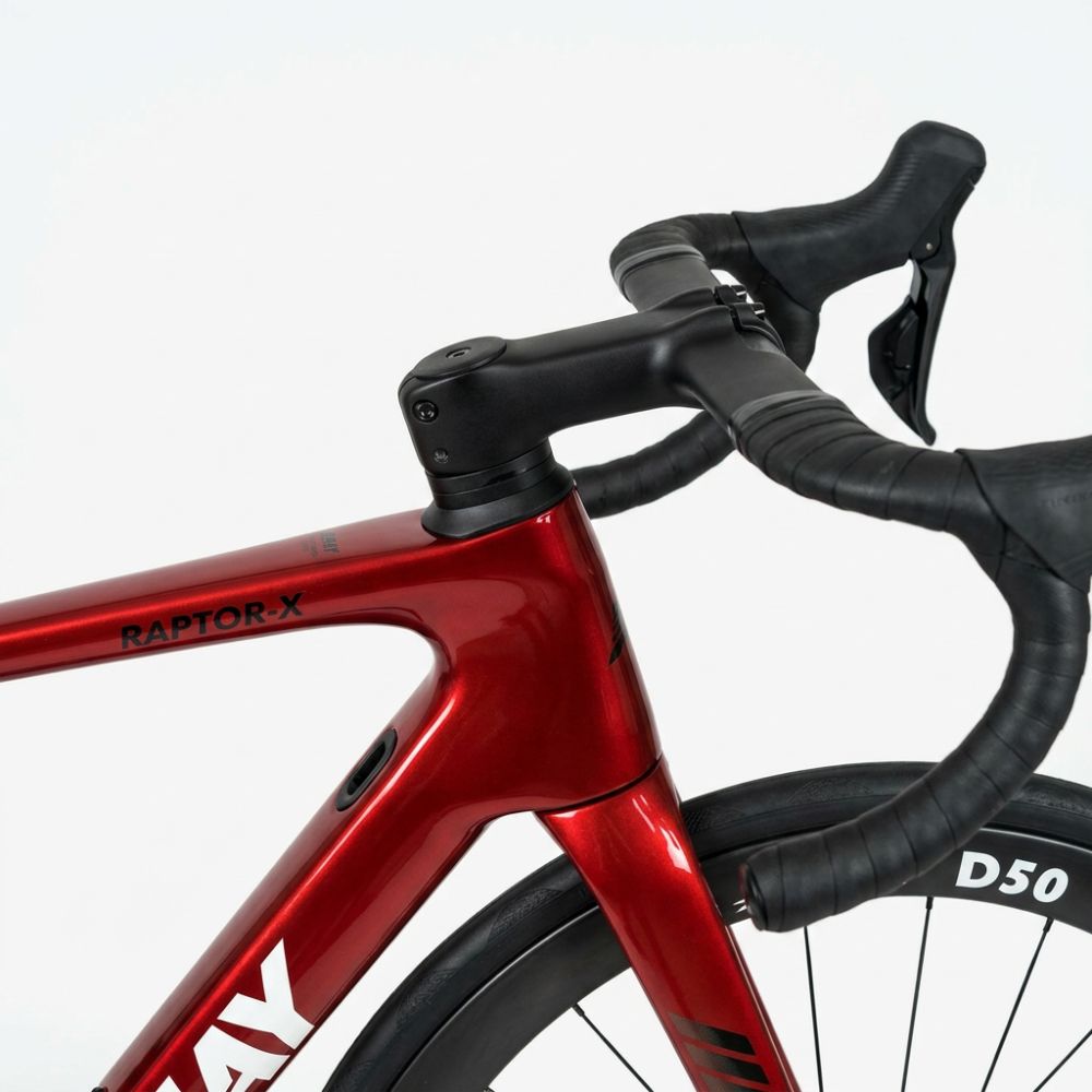 Amay Pegasus Carbon Road Bike